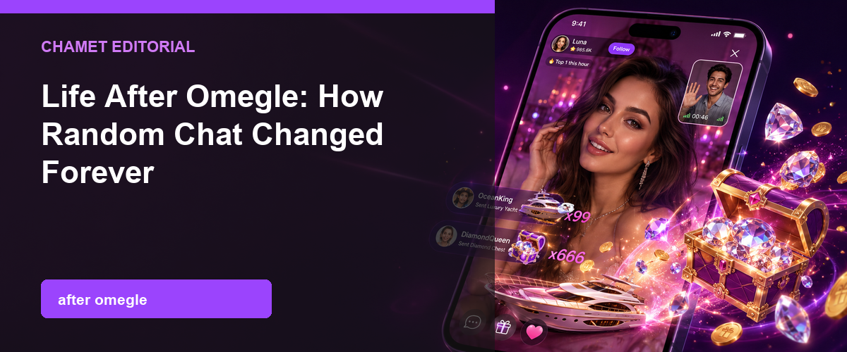 Life After Omegle: How Random Chat Changed cover image